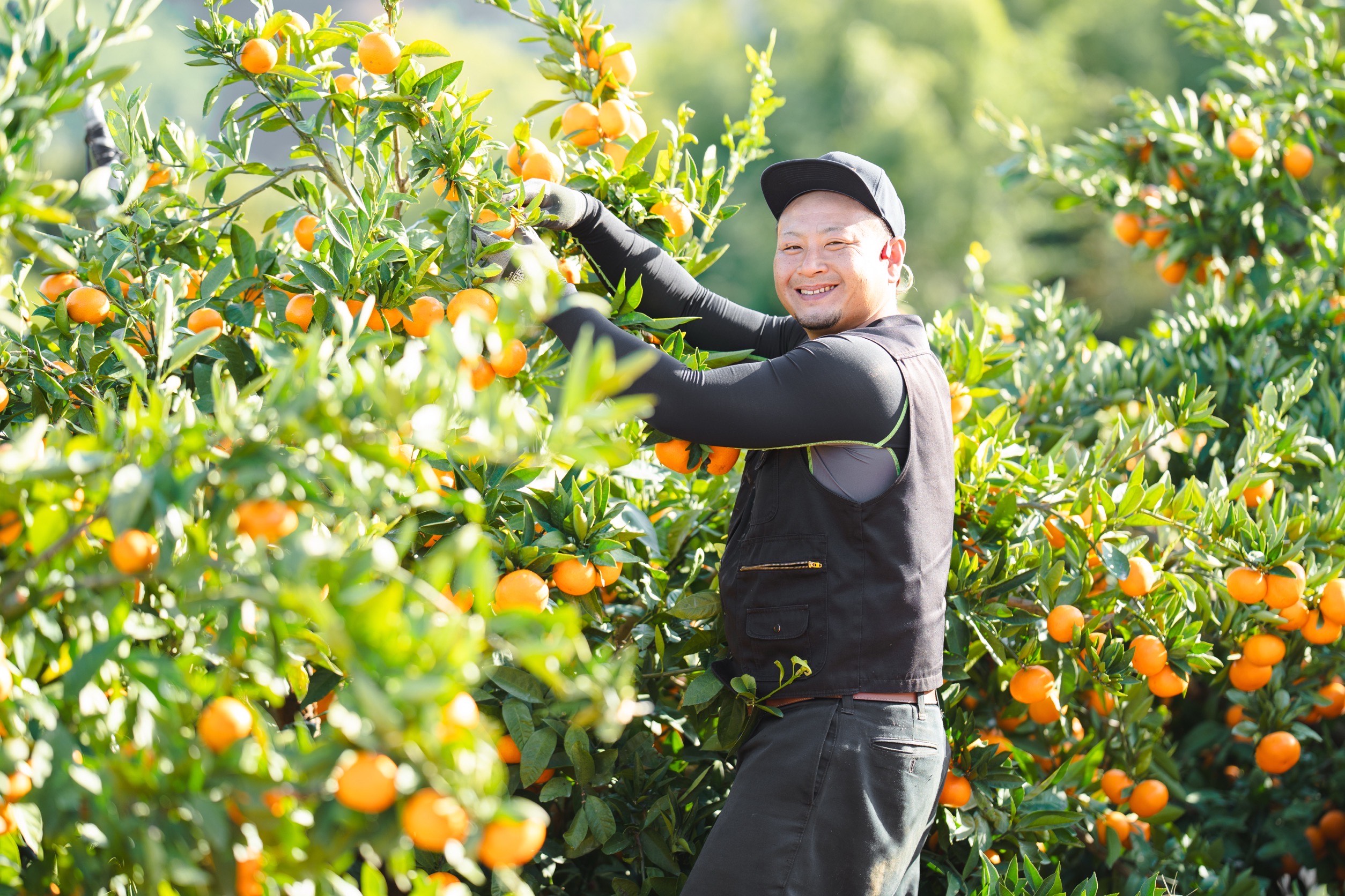 甘平　販売開始しました